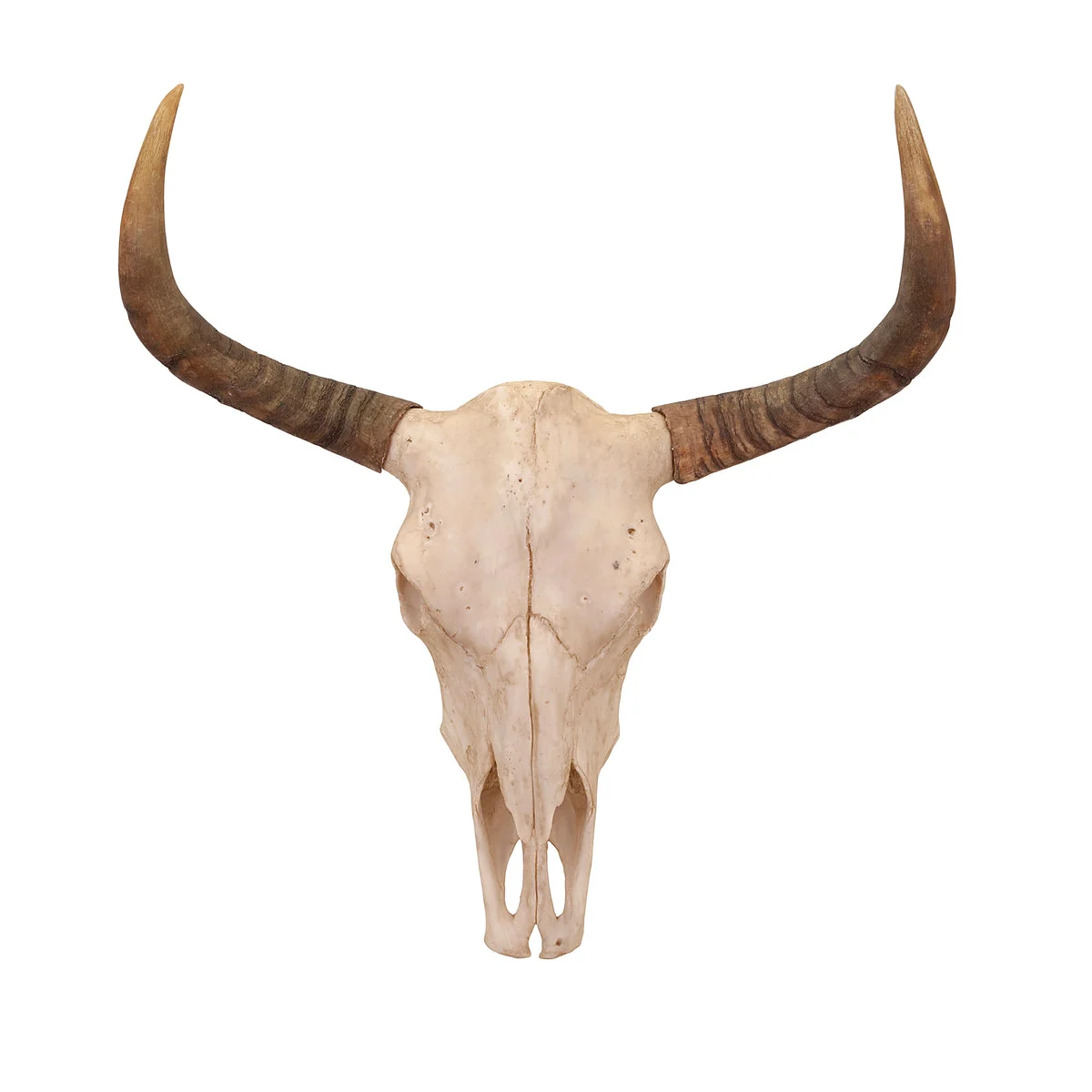 IMAX Worldwide Home Bull Skull Wall Decor