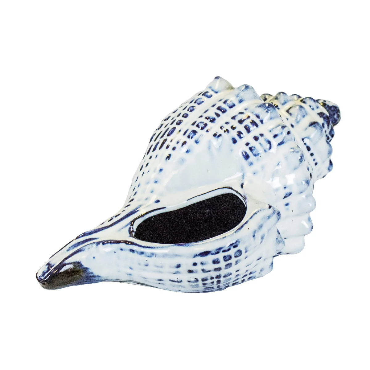 Sagebrook Home 10576 5" Blue Ceramic Seashell, Whelk
