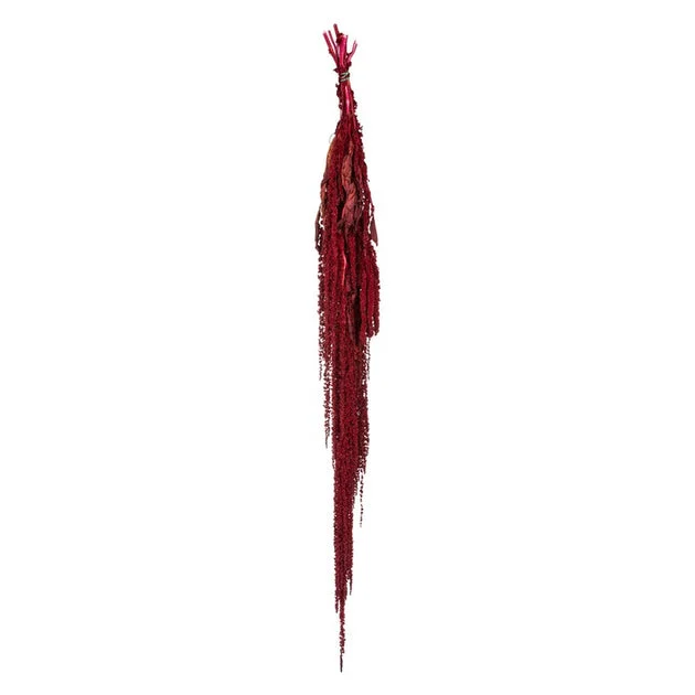 Vickerman 30" Merlot Amaranthus Bundle, Preserved