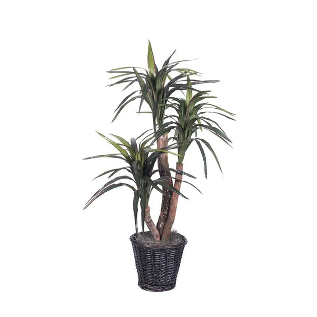 4' Artificial Extra-Full Marginata Bush in Rattan Basket