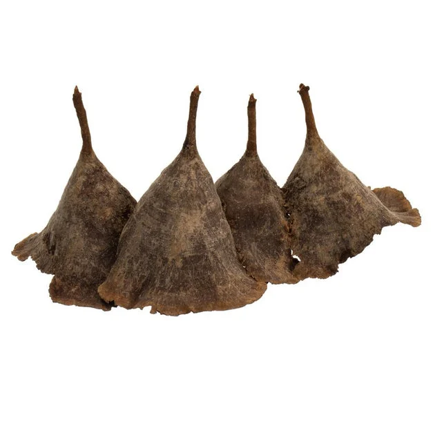 3"-10" Dried and Preserved Assorted Natural Calice Mushrooms Approximately 100 Pieces