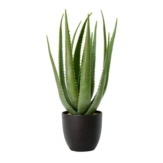 25" Artificial Green Aloe Vera in Pot