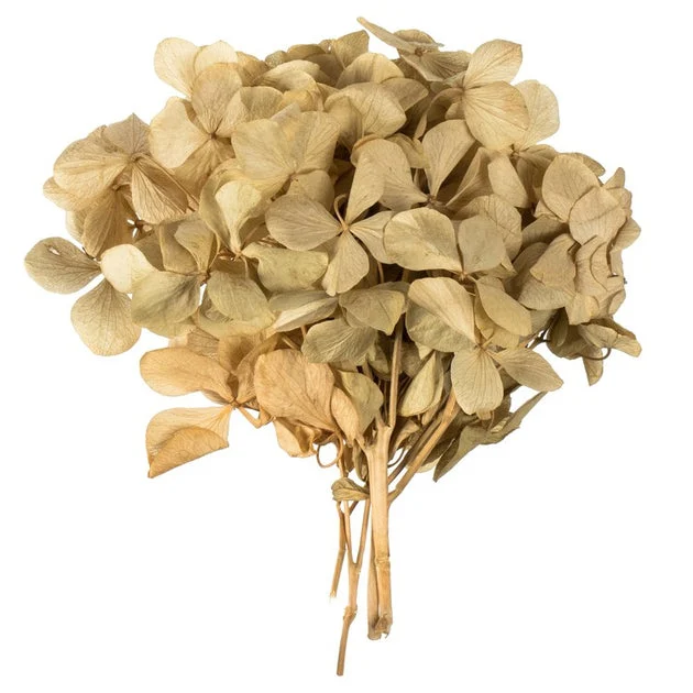 10" x 3" x 21" Tray of Dried and Preserved Natural Hydrangea Pieces