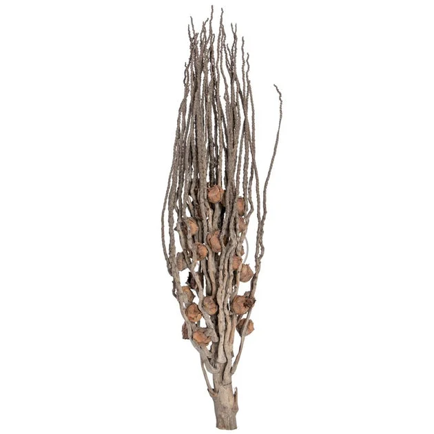 32" Dried and Preserved Natural Coco Jhar 10-Pack