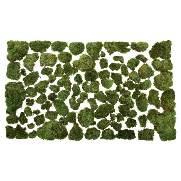 Vickerman Premium Green Mood Moss, Preserved