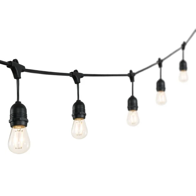Auro 48 ft. Fifteen-Light Indoor/Outdoor String Light - Black
