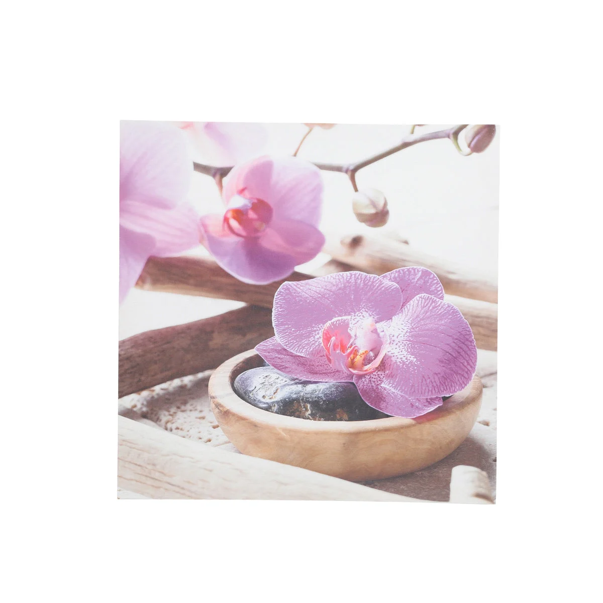 Sagebrook Home Orchids Canvas Print