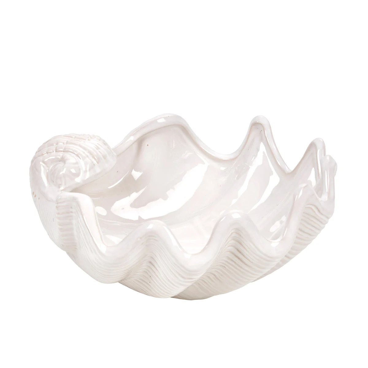 Sagebrook Home Ceramic 12`` Seashell, White