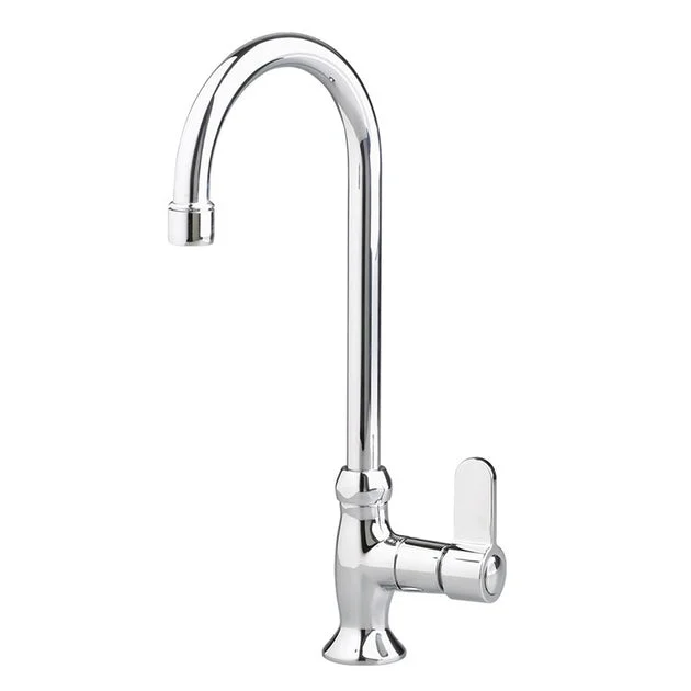 Heritage Single Handle Gooseneck Bar/Prep Faucet with Lever Handle