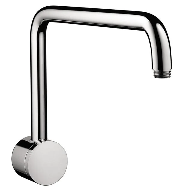 Raindance Wall-Mount Swivel Shower Arm and Flange