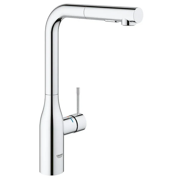 Essence Single Handle Pull-Out Kitchen Faucet