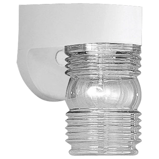 Polycarbonate Single-Light Indoor/Outdoor Wall Lantern