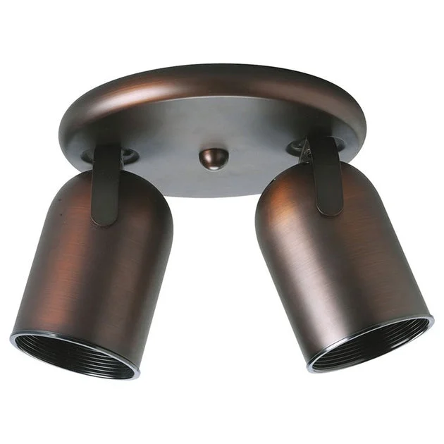 Directional Two-Light Round Back Ceiling Light