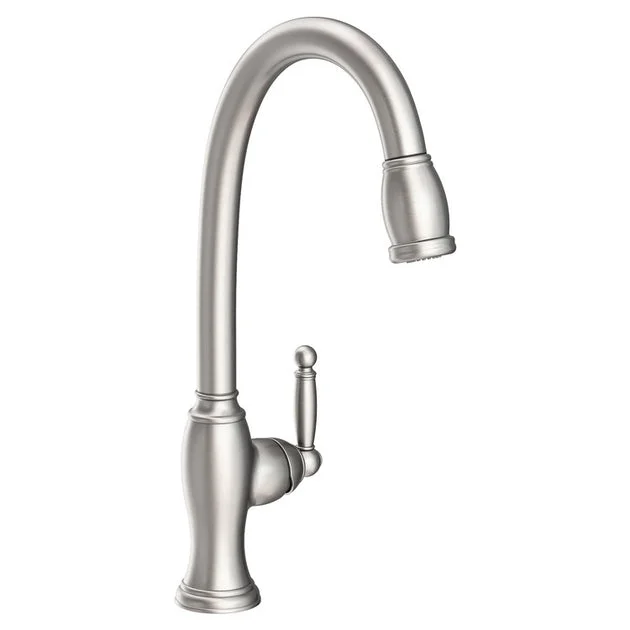 Nadya Single Handle Pull Down Kitchen Faucet