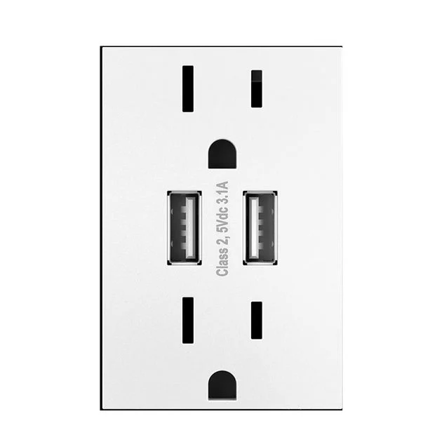 Receptacle adorne Dual USB Combo 15 Amps 120 Volt White