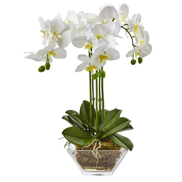 22" Faux Phalaenopsis in Glass Vase