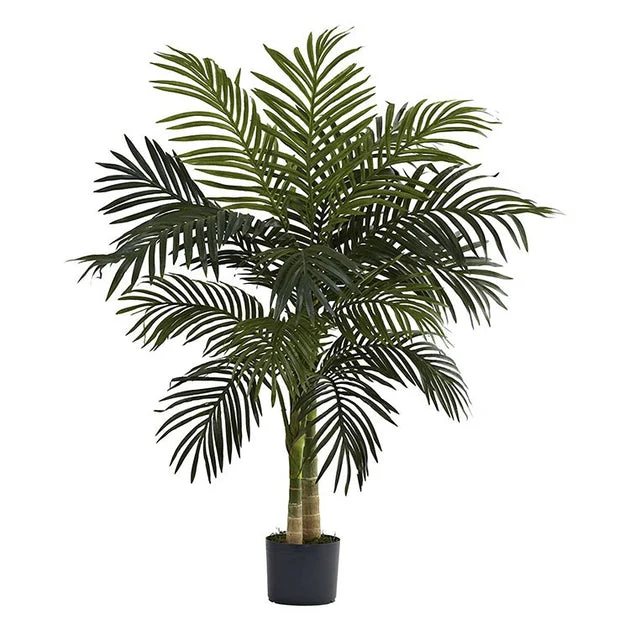 4' Golden Cane Palm Tree x 2 with 15 Leaves