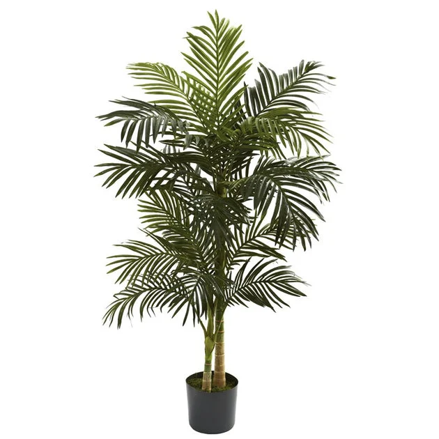 5' Golden Cane Palm Tree x 2 with 18 Leaves