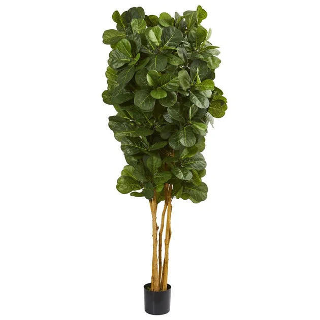 7' Fiddle Leaf Fig Tree