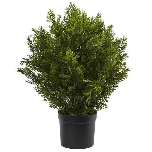 2' Indoor/Outdoor Cedar Bush