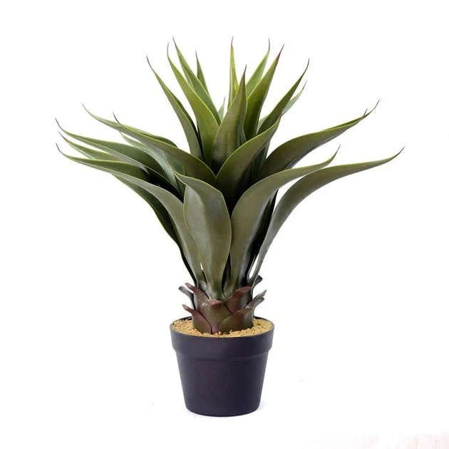 22" Artificial Green Potted Aloe Vera