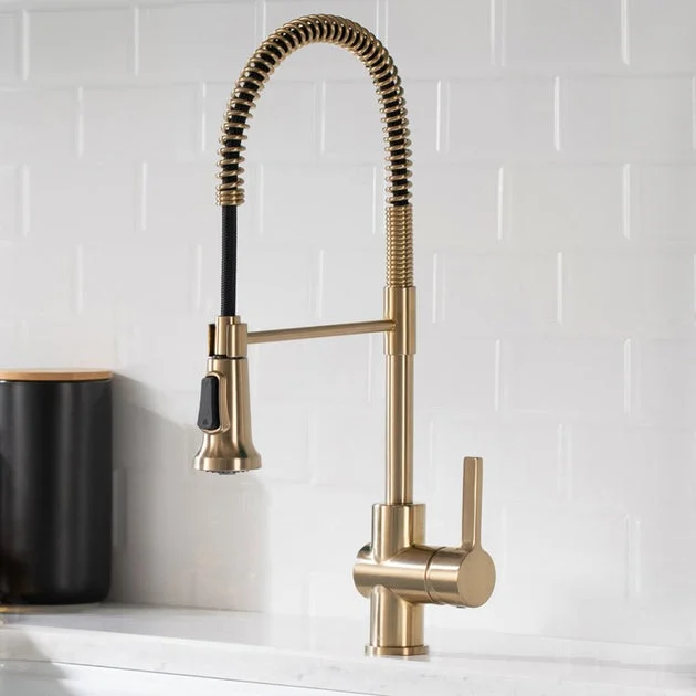 Britt Commercial-Style Kitchen Faucet and Purita Water Filter Faucet Combo