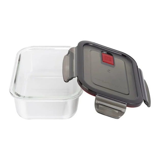Gusto Storage 0.6-quart/ 600 ml Rectangular Storage Container