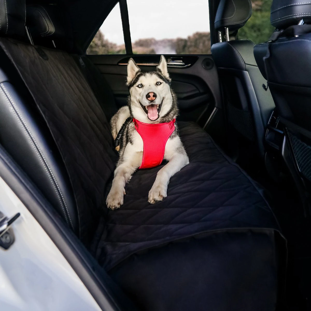 BarksBar Luxury Pet Car Seat Cover with Seat Anchors for Cars, (60″ x 64″)