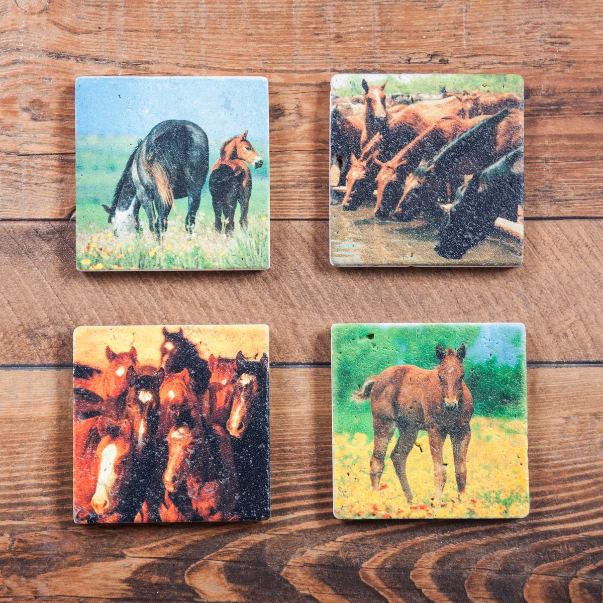 HiEnd Accents Horse Coasters, Set of 4 Pcs