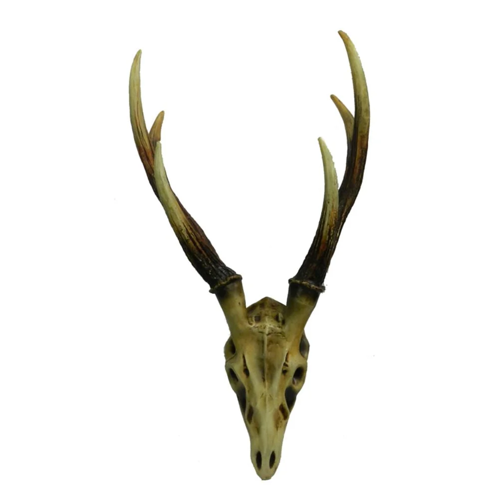 Enticing Polyresin Skeleton Benzara