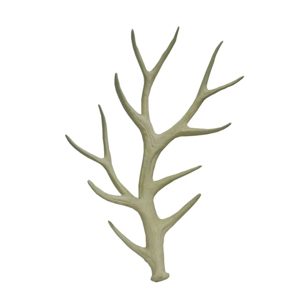 Elegant Polyresin Horn Benzara