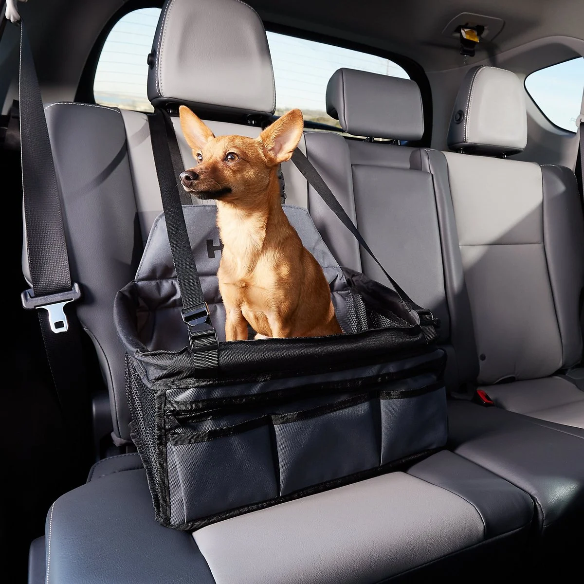 HDP Deluxe Lookout Dog, Cat & Small Animal Booster Car Seat – Black