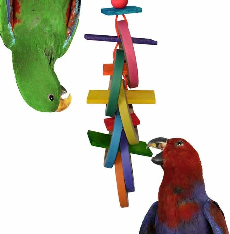 Super Bird Creations SB625 Olympic Rings Bird Toy, Large Bird Size, 15” x 4” x 4”