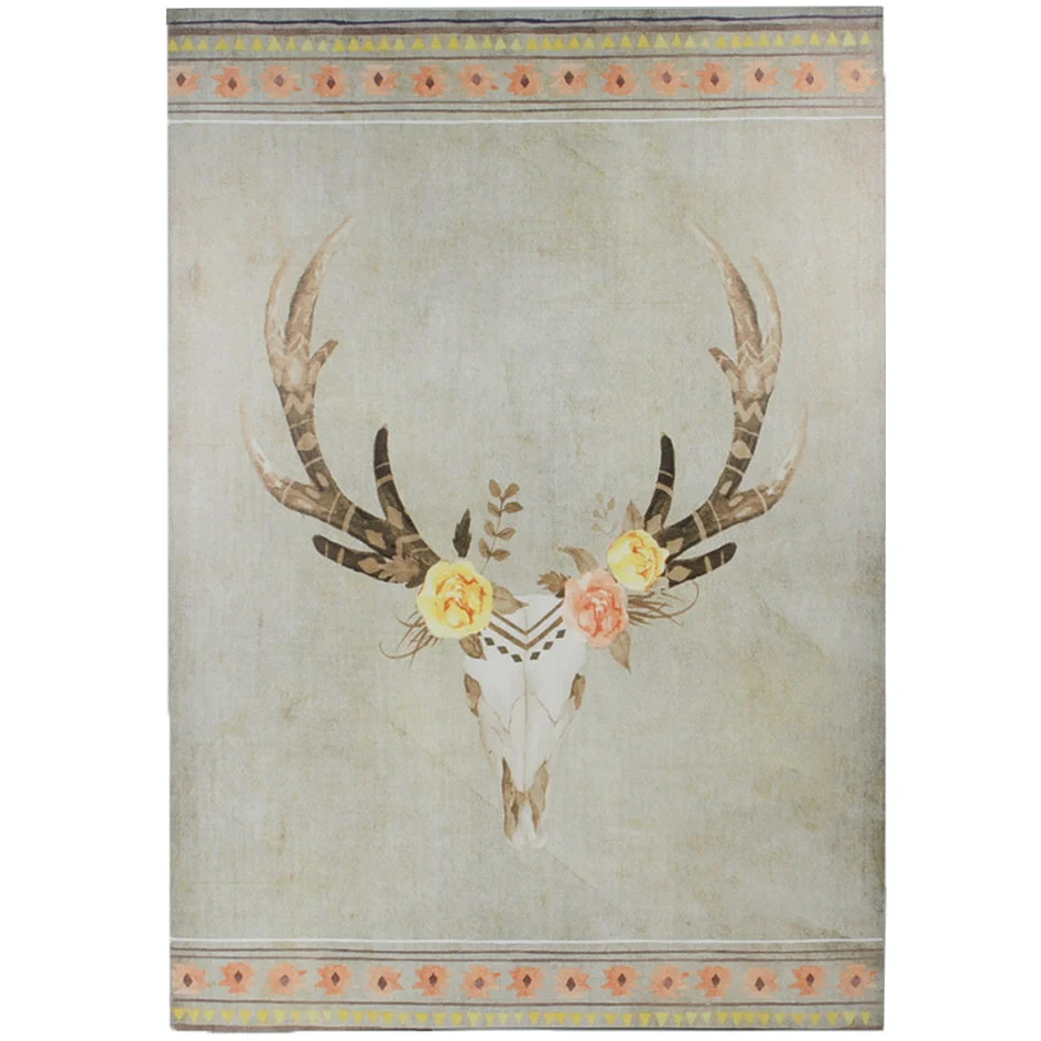 HiEnd Accents Desert Skull Canvas