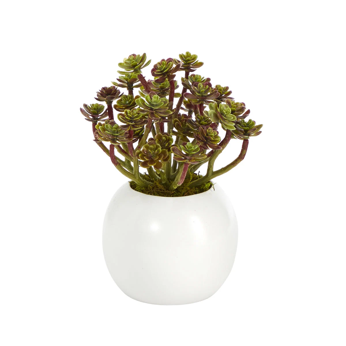 Nearly Natural 7``Sedum Succulent Artificial Plant in White Planter