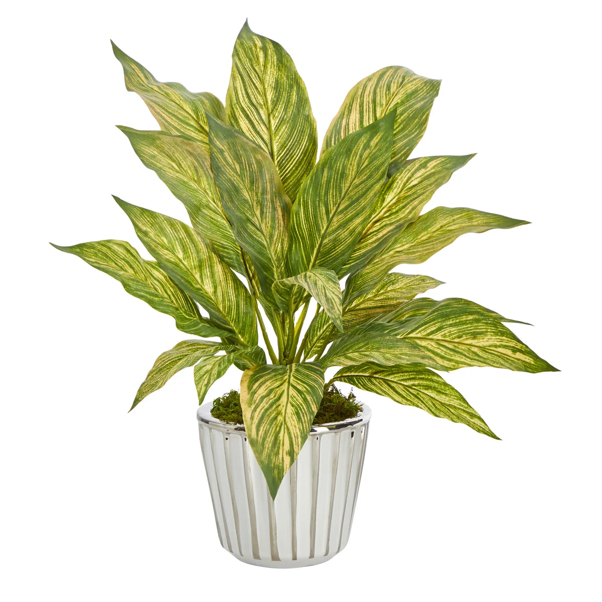 Nearly Natural 14``Musa Leaf Artificial Plant in White Planter with Silver Trimming