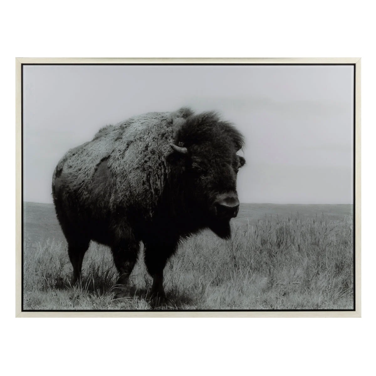 IMAX Worldwide Home Buffalo Framed Acrylic Wall Decor
